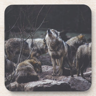 Dessous-de-verre Paquet de boisson Wolf Pack