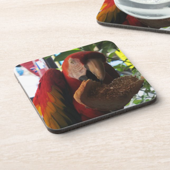 Dessous-de-verre Parrot Macaw Scarlet Manger Toast (Côté gauche)