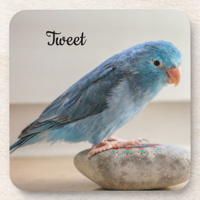 Dessous-de-verre Parrotlet bleu personnalisé Animaux de compagnie (Devant)