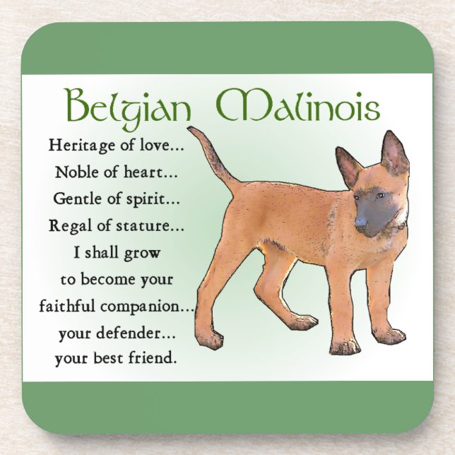 Dessous-de-verre Patrimoine Malinois belge de l'Amour (Devant)