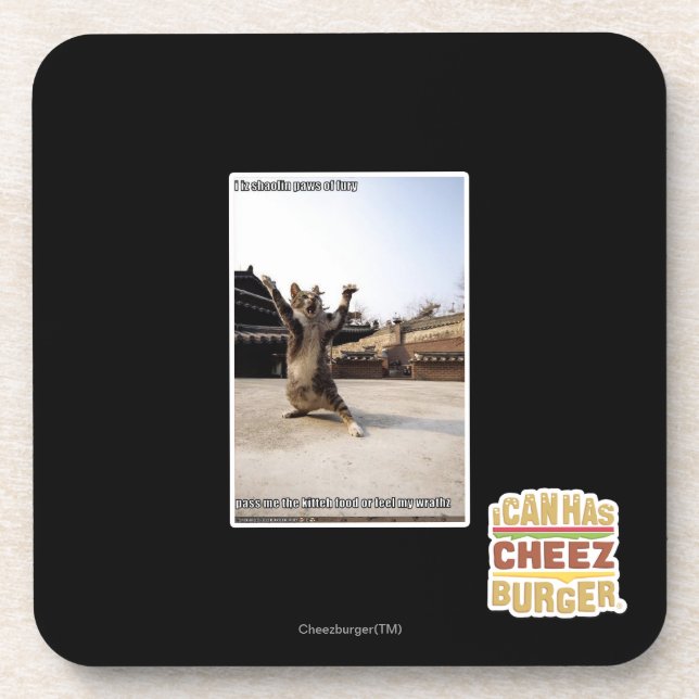 Dessous-de-verre Pattes de shaolin de l'iz I de fureur (Devant)