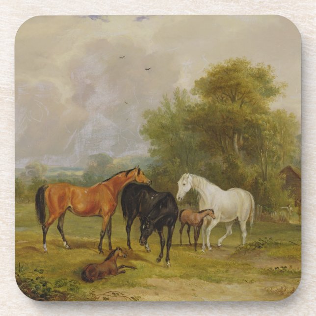 Dessous-de-verre Pâturage de chevaux : Juments et poulains dans un (Devant)