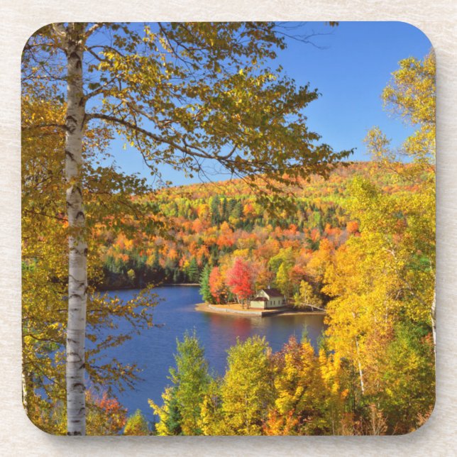 Dessous-de-verre Paysage d'arbres en automne, Maine (Devant)