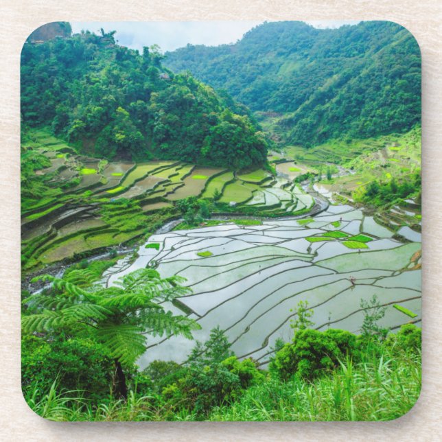 Dessous-de-verre Paysage en terrasse sur le riz, Philippines (Devant)