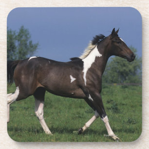 Dessous-de-verre Peignez le cheval courant 2