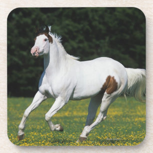 Dessous-de-verre Peignez le cheval fonctionnant dans le domaine