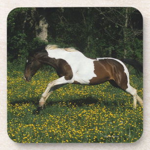 Dessous-de-verre Peignez le cheval fonctionnant dans le domaine des