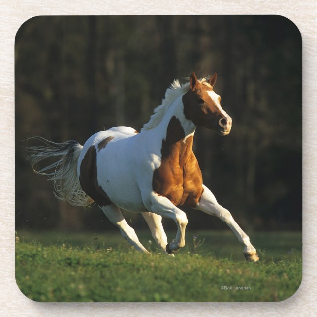 Dessous-de-verre Peignez le cheval fonctionnant rapidement (Devant)