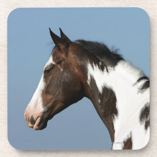 Dessous-de-verre Peignez le Headshot 1 de cheval