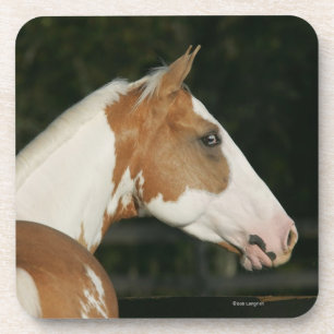 Dessous-de-verre Peignez le Headshot 2 de cheval