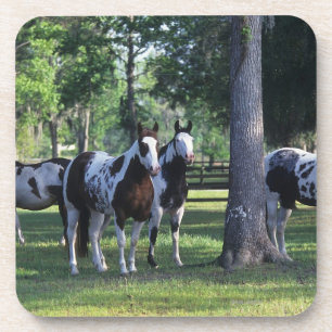 Dessous-de-verre Peignez les chevaux dans les arbres
