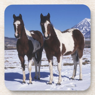 Dessous-de-verre Peignez les chevaux se tenant dans la neige
