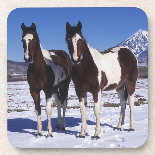 Dessous-de-verre Peignez les chevaux se tenant dans la neige (Devant)