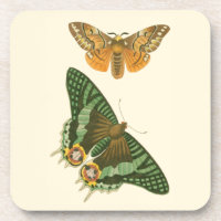 Peinture à papillon légèrement frontière