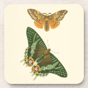Dessous-de-verre Peinture à papillon légèrement frontière