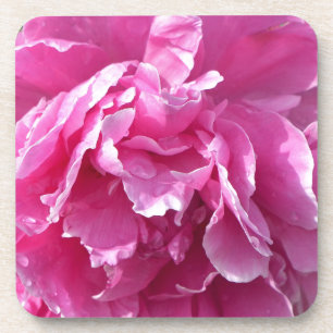 Dessous-de-verre Peony rose