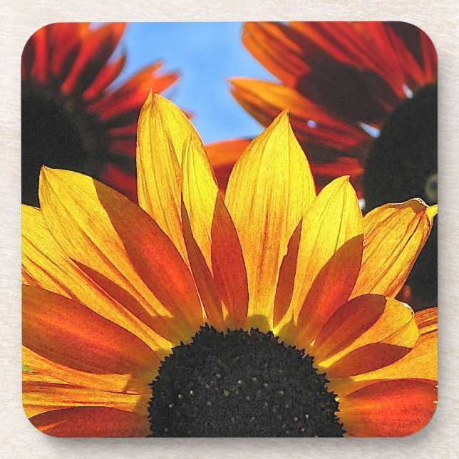 Dessous-de-verre Pétales de tournesol (Devant)