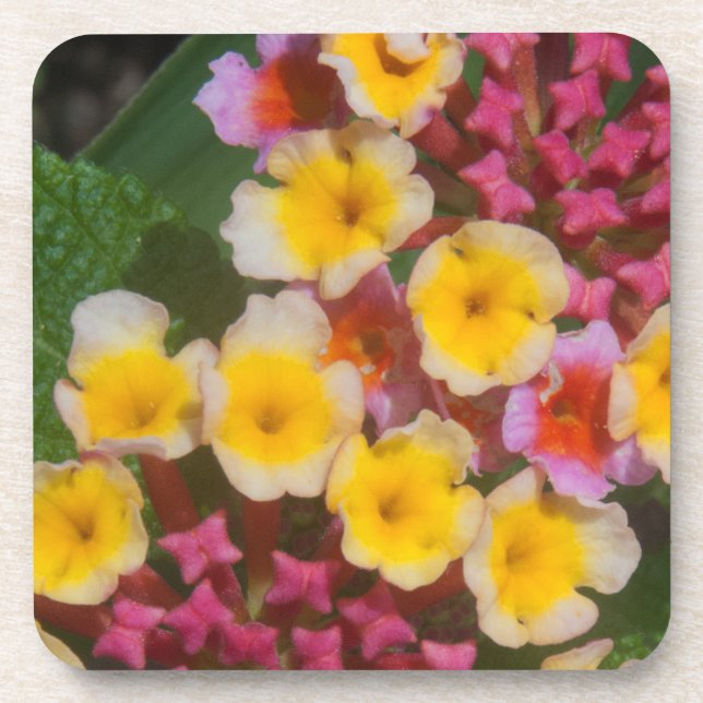 Dessous-de-verre Petites Fleurs Tropicales Jaunes Aux Bureaux Roses (Devant)