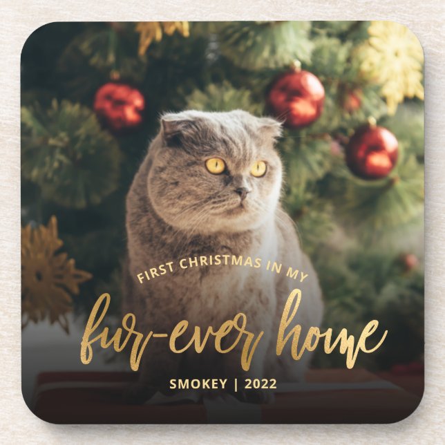 Dessous-de-verre Photo pour animaux First Christmas Forever Home Sc (Devant)