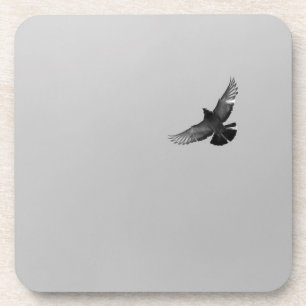 Dessous-de-verre Photo simple moderne noir pigeon d'oiseau volant n