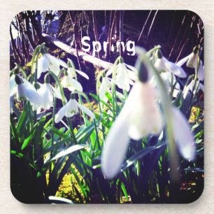 Dessous-de-verre Photo Snowdrops par River Severn / Hafren