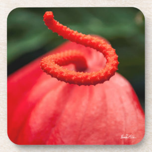 Dessous-de-verre photo une fleur rouge.