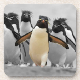Dessous-de-verre Pingouins de Rockhopper
