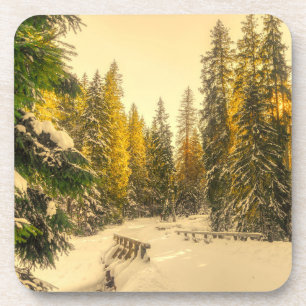 Dessous-de-verre Pins couverts de neige Forêt Nature Photo