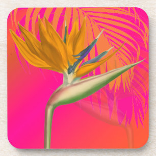 Dessous-de-verre PixDezines oiseau de paradis/couleur de fond DIY