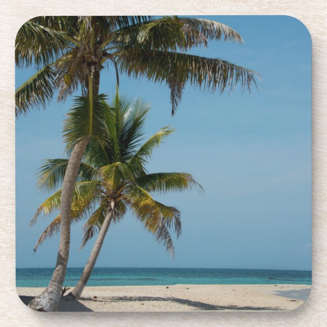 Dessous-de-verre Plage de palmiers et de sable blanc (Devant)