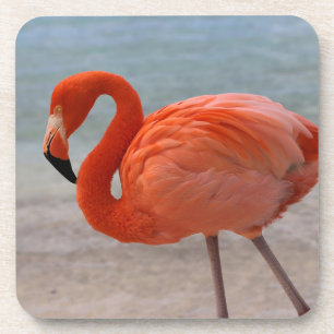 Dessous-de-verre Plages tropicales Flamant rose des Caraïbes, Aru