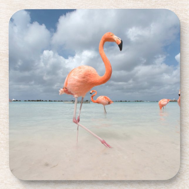 Dessous-de-verre Plages tropicales | Flamants roses Beach, Aruba (Devant)