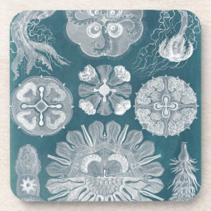 Dessous-de-verre Plan directeur de la vie marine IV