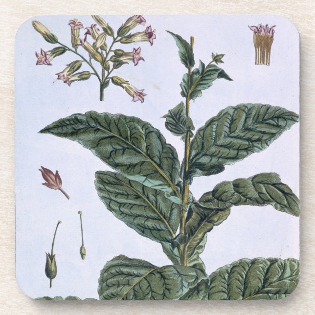 Dessous-de-verre Plante de tabac, plat 7, de 'collection Precieuse (Devant)