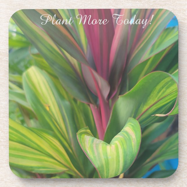 Dessous-de-verre Plante Plus (Devant)