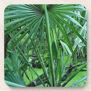 Dessous-de-verre Plantes tropicales dans l'étang de sel