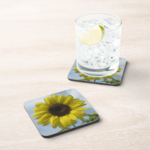 Dessous de verre - Plastique dur - Sunflower Summe