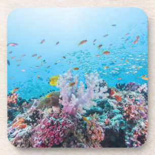 Dessous-de-verre Plongée à l'air avec le récif et le corail colo
