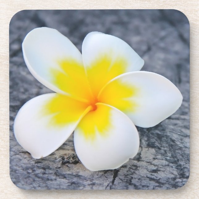 Dessous-de-verre Plumerias (Devant)