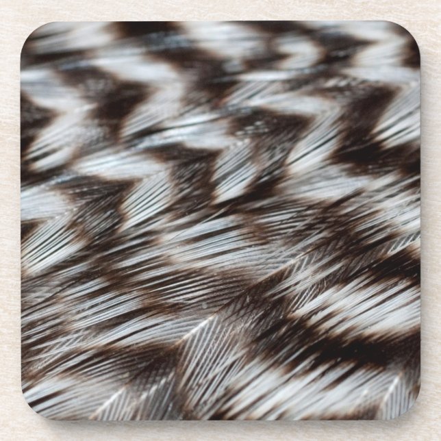 Dessous-de-verre Plumes noires et blanches en détail (Devant)