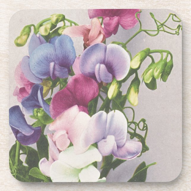 Dessous-de-verre Pois doux 1907 (Devant)
