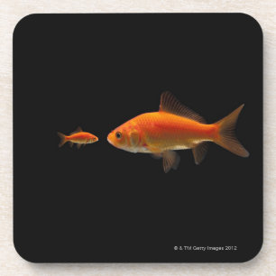 Dessous-de-verre Poisson rouge