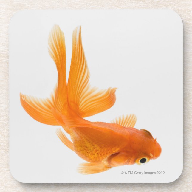 Dessous-de-verre Poisson rouge de rose des vents (auratus de (Devant)