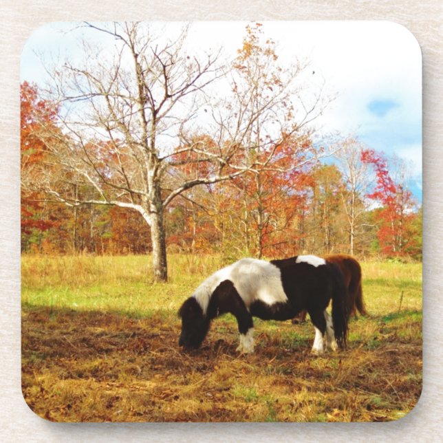 Dessous-de-verre Poney miniature noir et blanc / Cheval (Devant)