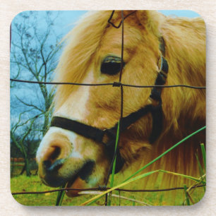 Dessous-de-verre Pony miniature blond / Cheval Ciel bleu
