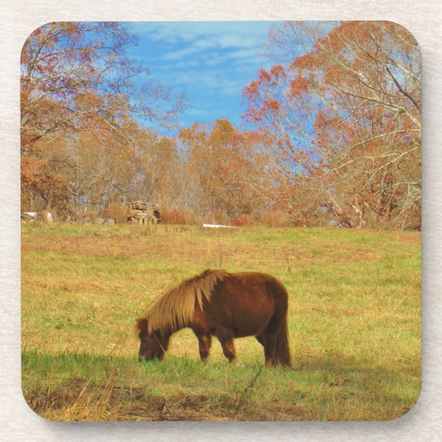 Dessous-de-verre Pony miniature Brown (Devant)