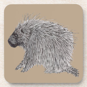 Dessous-de-verre Porcupine