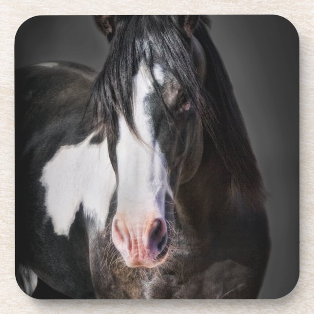Dessous-de-verre Portrait de cheval II (Devant)