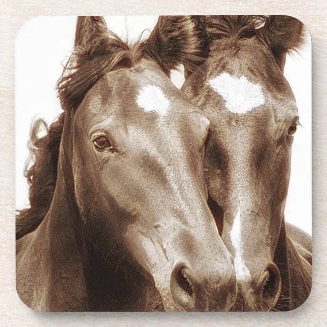 Dessous-de-verre Portrait de cheval III (Devant)