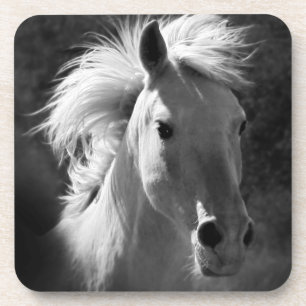 Dessous-de-verre Portrait de cheval V